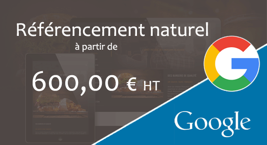 referencement site wordpress landes à partir de 600 €