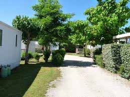 camping au calme La Cotinière — camping bord de mer île d'Oléron camping au calme La Cotinière — camping bord de mer île d'Oléron